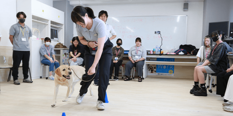 心と命をつなぎ、動物と飼い主に信頼される看護師を目指す-愛玩動物
