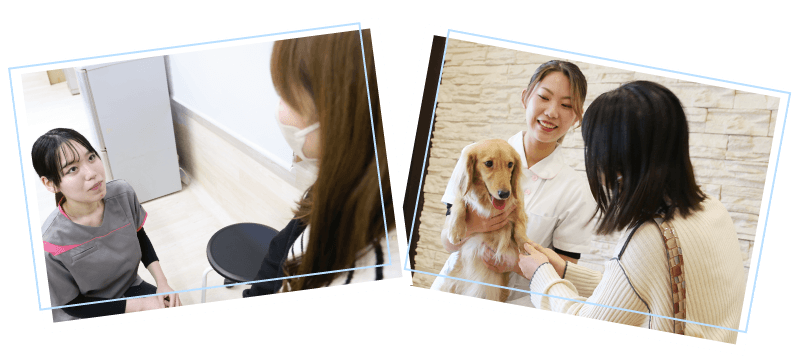 心と命をつなぎ、動物と飼い主に信頼される看護師を目指す-愛玩動物