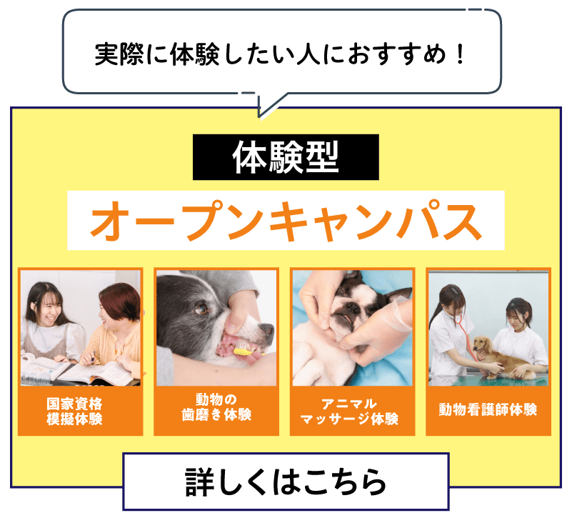 体験講座