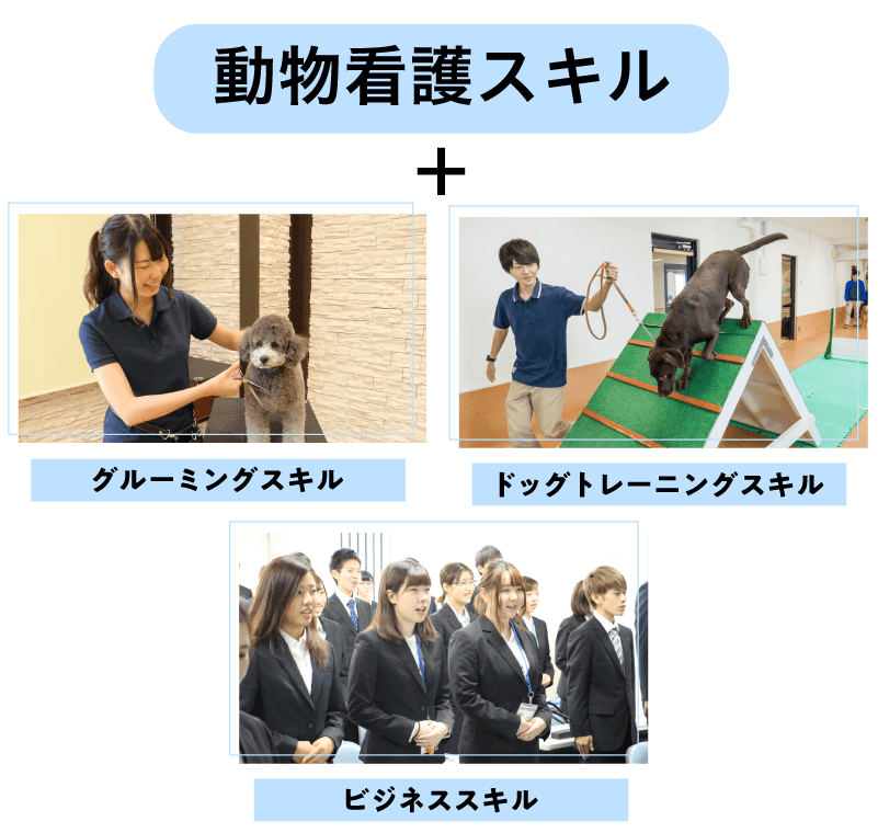 心と命をつなぎ、動物と飼い主に信頼される看護師を目指す-愛玩動物