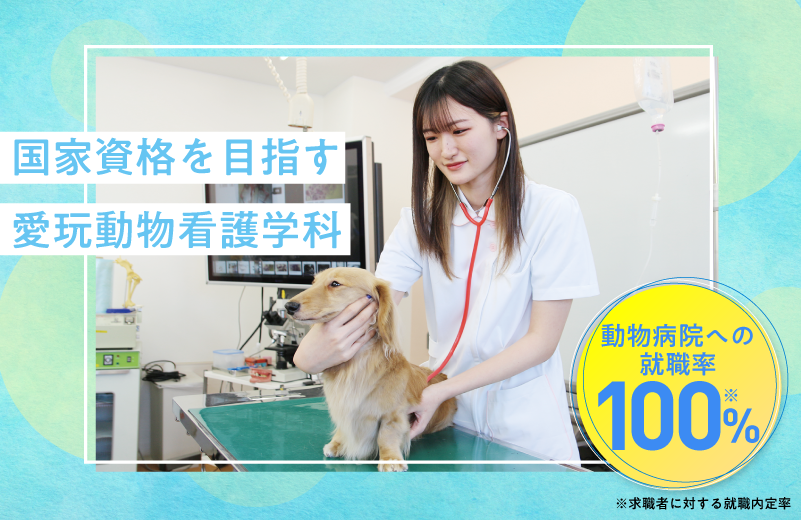 愛玩動物看護学科