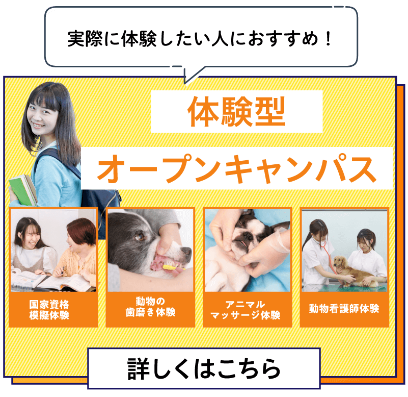 体験講座