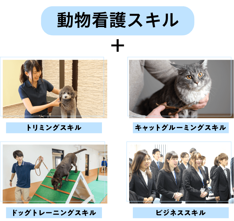 看護スキル