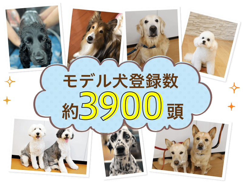 一般家庭犬登録数3900頭