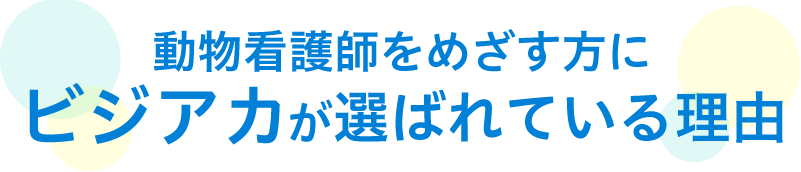 選ばれている理由