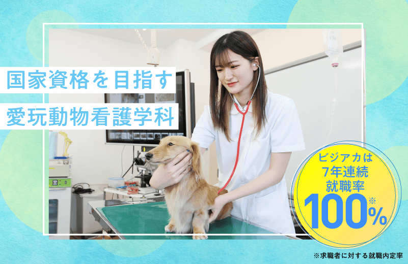 愛玩動物看護学科