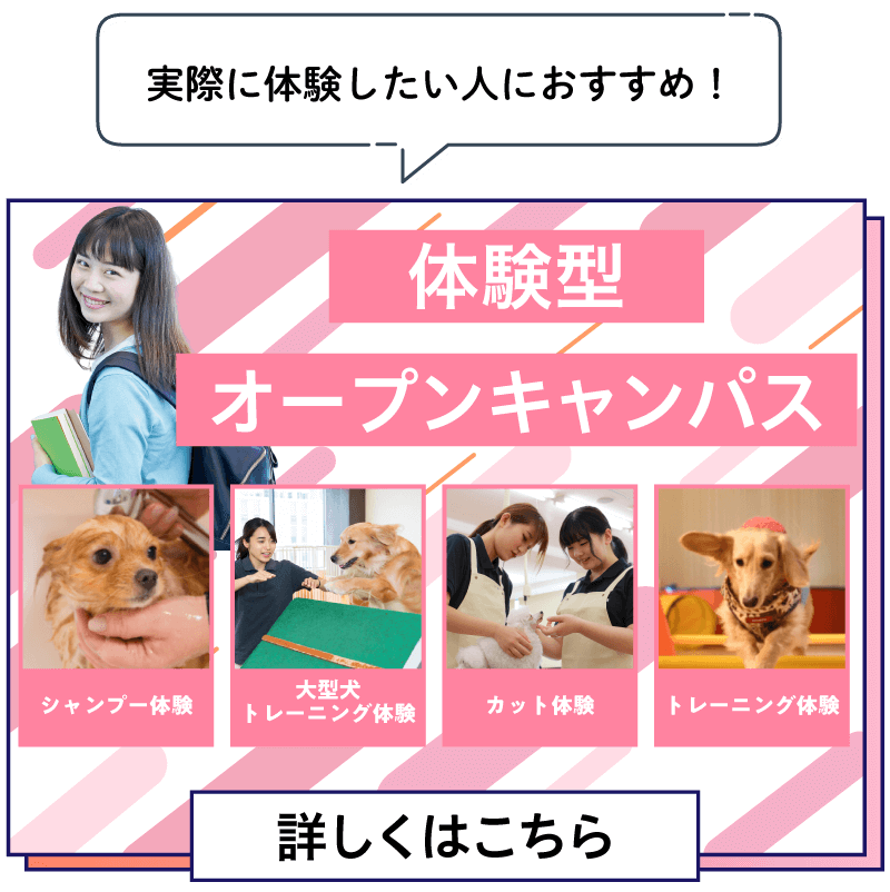 体験講座