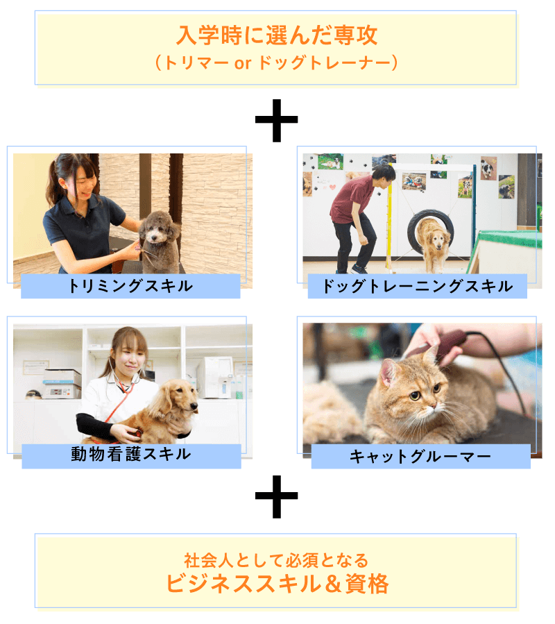 マどの学科、どのコースでもトリミング・トレーニング・看護・社会人基礎力を学べる
