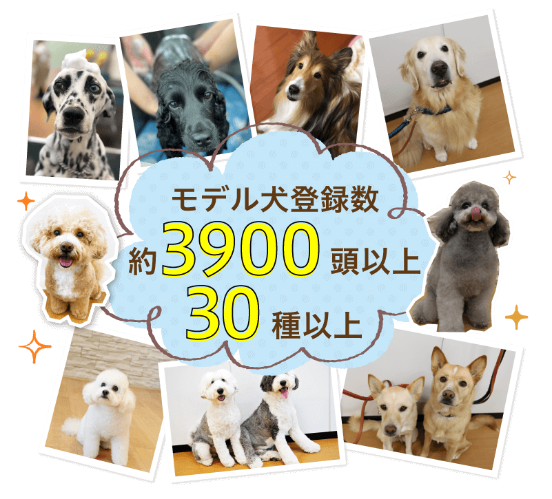 モデル犬登録数3,900頭