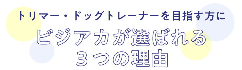 選ばれている理由