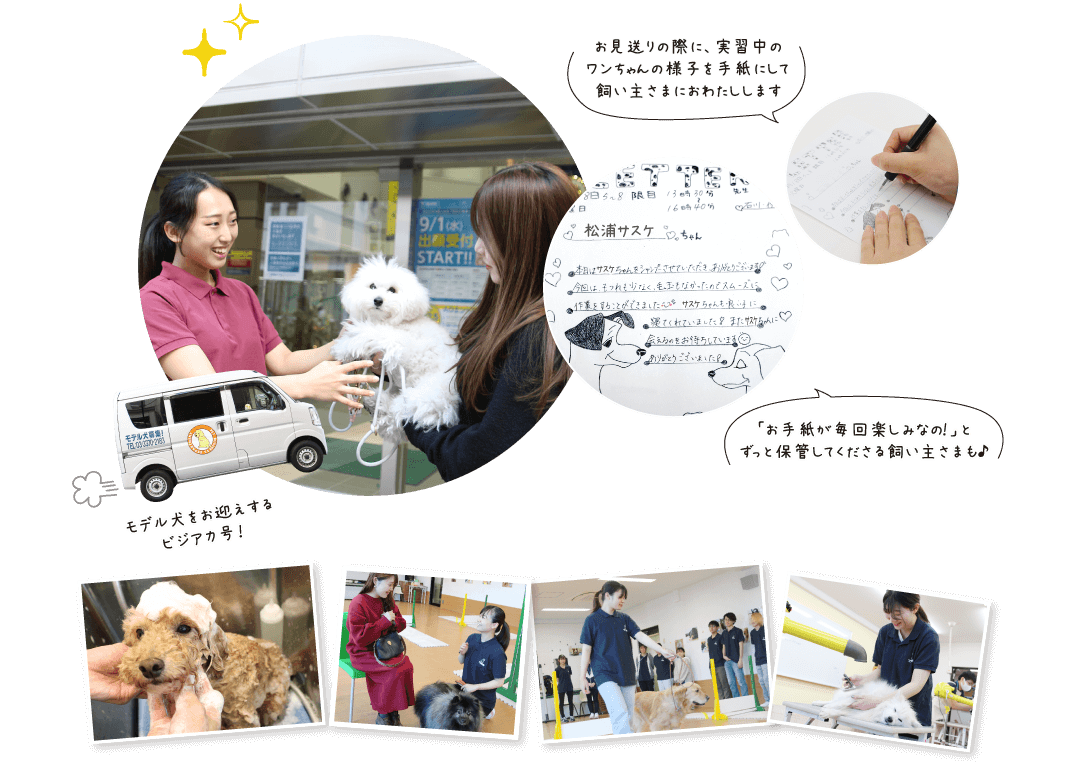 モデル犬のお迎えからお見送りまでの様子