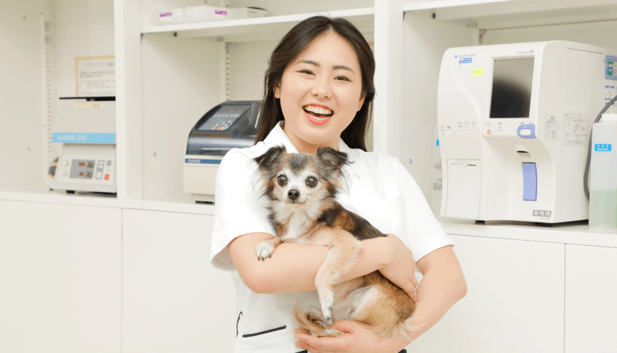 再進学をご検討の方