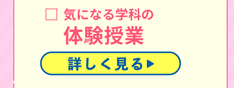1日のスケジュール