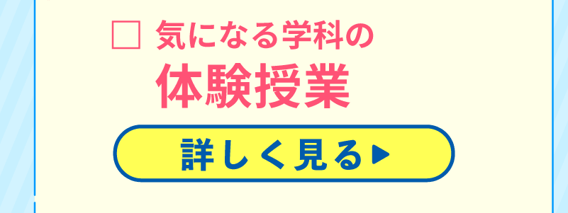1日のスケジュール