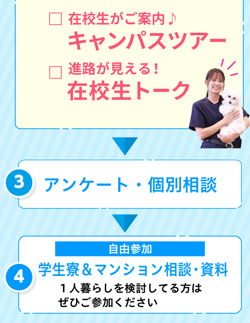 1日のスケジュール