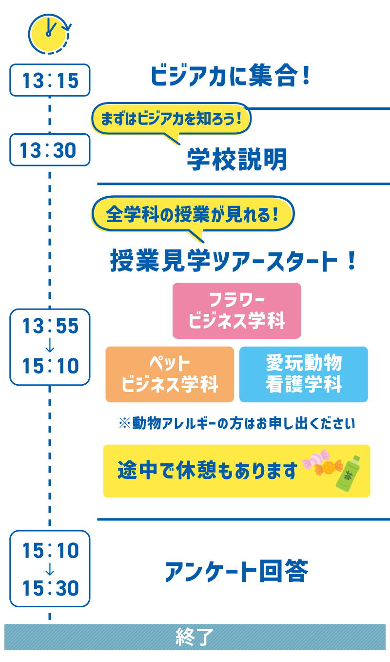 1日のスケジュール