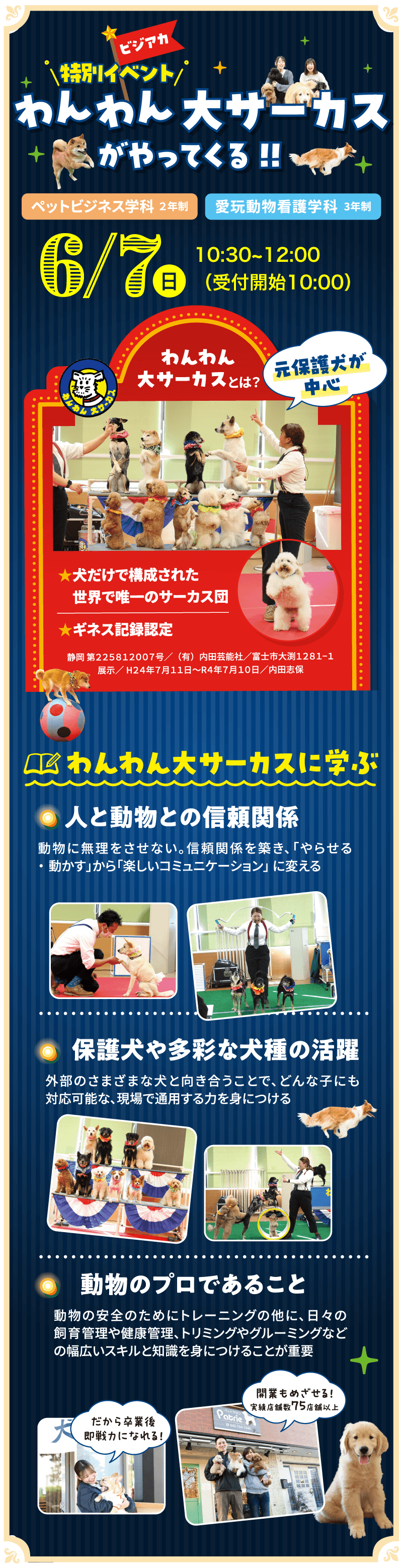 わんわん大サーカスとは