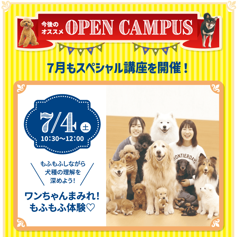 わんちゃんもふもふ体験"