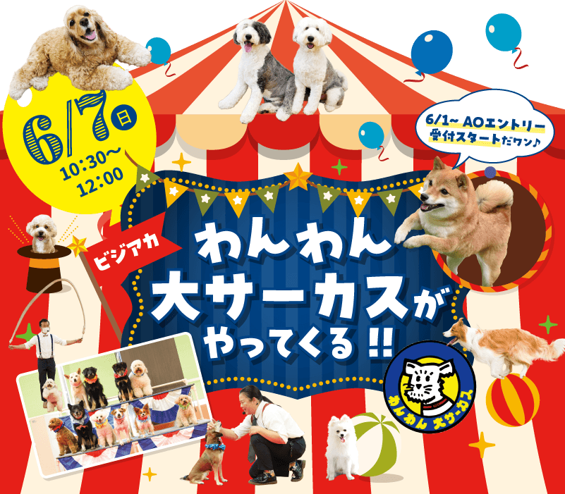 わんわん大サーカスがやってくる