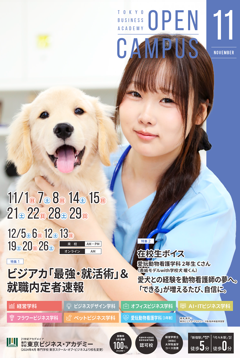 11月