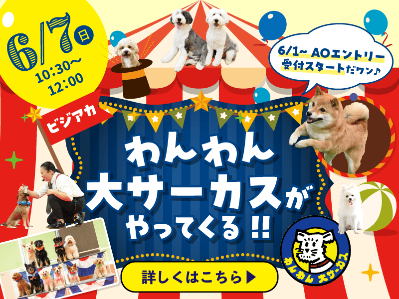 わんわん大サーカスがやってくる