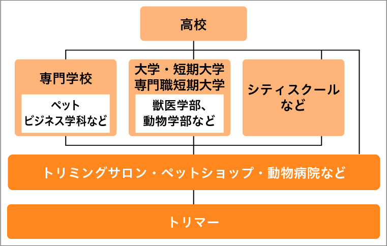 猫のトリマーになるには？