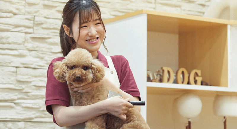 ペットビジネス学科猫のトリマーコースの詳細を見る