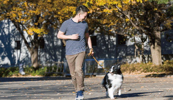 ドッグトレーナー（犬の訓練士）になるには？資格や仕事について解説