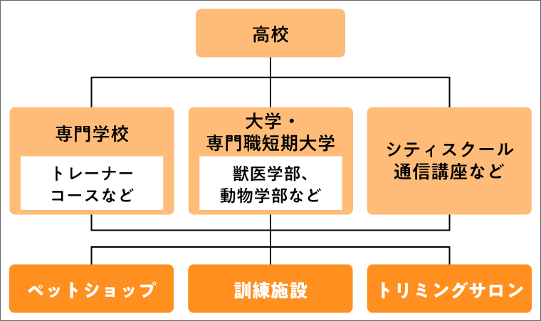 ドッグトレーナー(犬の訓練士)になるには?
