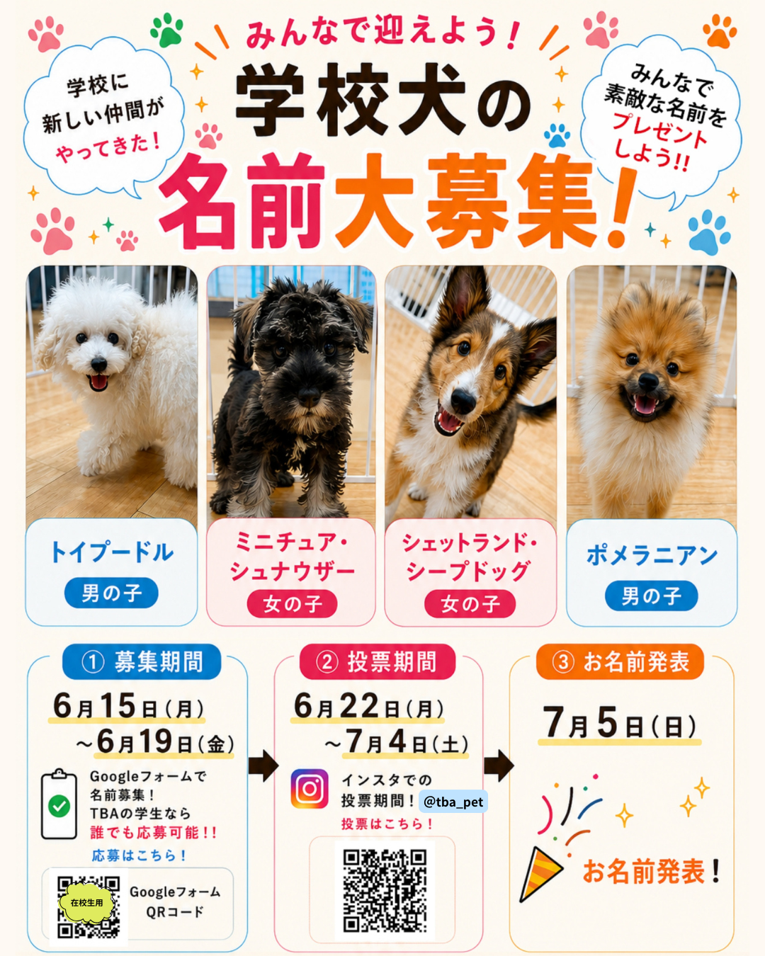 インスタ長方形 (2).png