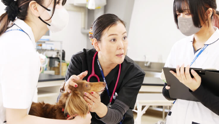 専門分野を極めた講師陣